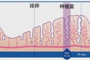 试管种植窗怎么检测 这3种方法比较常见