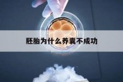 胚胎为什么养囊不成功 为什么胚胎养囊成功率这么低