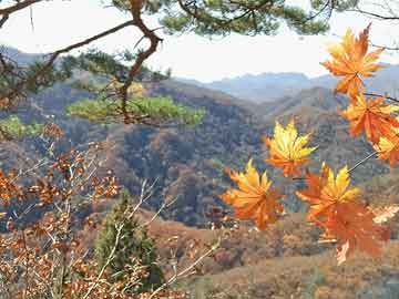 新疆人类精子库医院介绍附详情地址