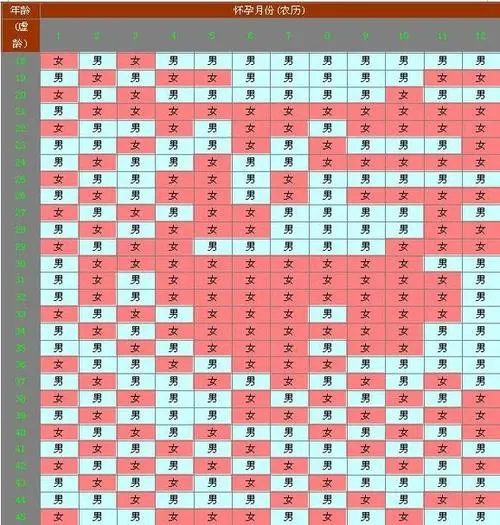 2025蛇年准确率能达到多少(99%准确率的清宫图要怎么看)